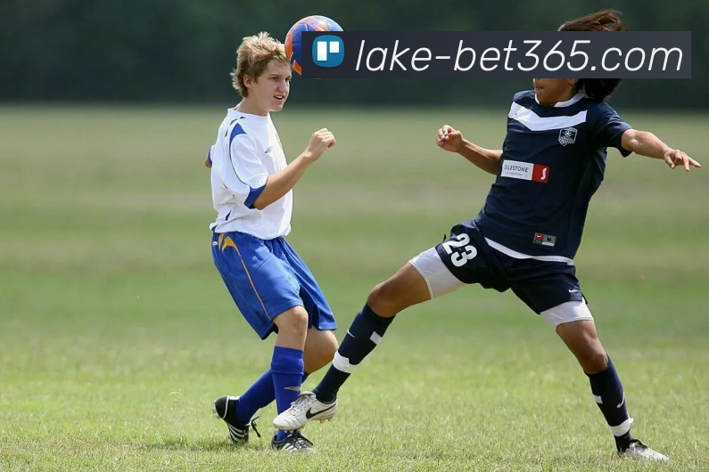 bet365APP 高清赛事图